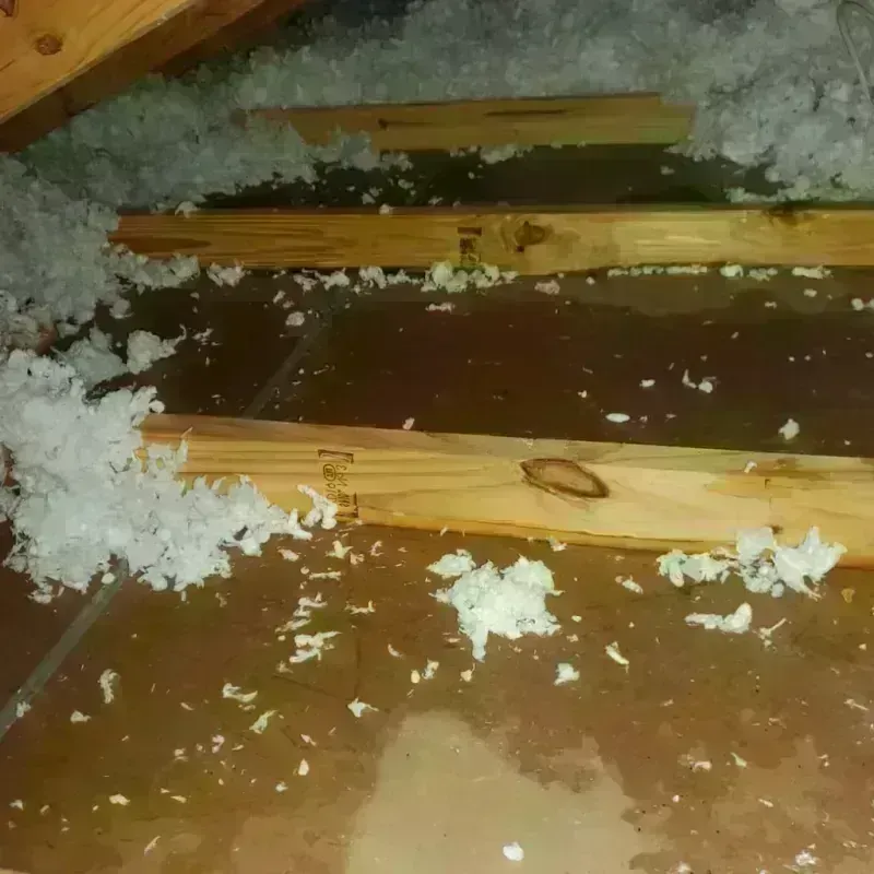 Attic Water Damage in Keego Harbor, MI