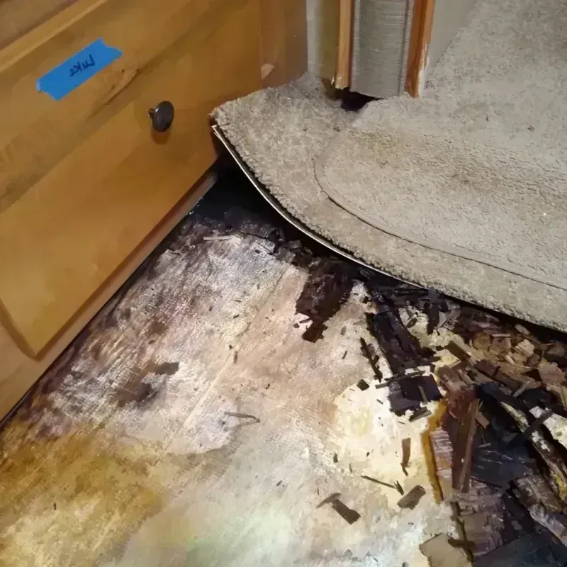 Best Wood Floor Water Damage Service in Keego Harbor, MI